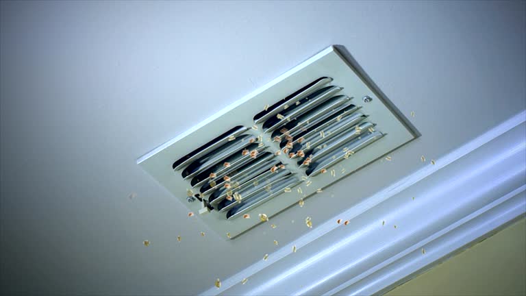 Best Commercial Air Duct Cleaning  in Han, GA