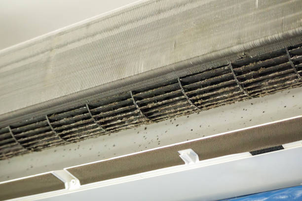 Best Affordable HVAC Duct Cleaning  in Han, GA